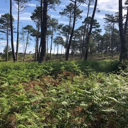 Appartement Au Pied De La Dune *