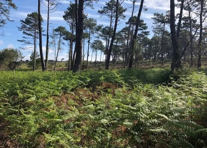 Appartement Au Pied De La Dune *